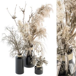 Dry Plants 70 - Dried Pampas Set