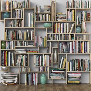 Large Bookshelf With Books. Library