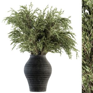 Indoor Plant Set 201 - Big Bush In Vase