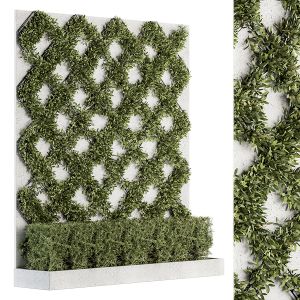 Vertical Garden - Wall Decor 25