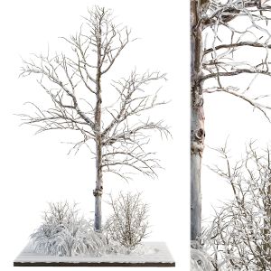 Outdoor Plants Tree In Garden Snow - Set 191