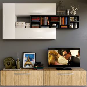 Wardrobe With Decor And Tv 2