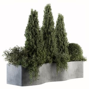 Outdoor Plant Set 180 - Plant Box With Small Pine