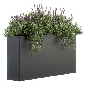 Outdoor Plant Set 163 - Plant Box Laveneder