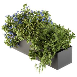 Outdoor Plant Set 208 - Plant Box Blue Flower