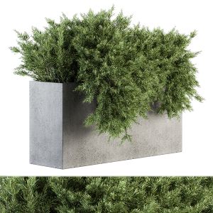 Outdoor Plant Set 212 - Plant Box Hanging Plants