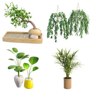 Plants collection