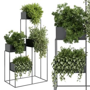 Standing Metal Shelf With A Set Of Plants In Metal