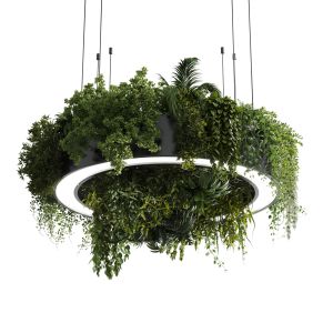 Circle Pot Light Pendant  Plant Light Hanging 13