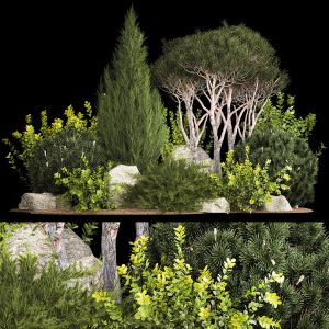 Alpine Hill Pine Topiary Thuja And Juniper 1216