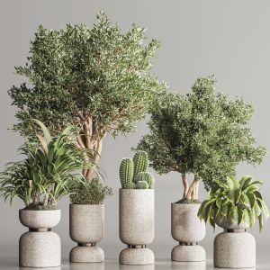 Indoor Plant Set 106