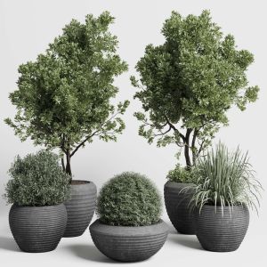 Outdoor Plant Set 152 Plant Tree Grass Vase Dirty