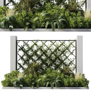 Outdoor Garden Plant Set 153 - Ivy On Fence