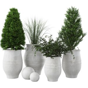 Collection Of Sienna Potted Plants