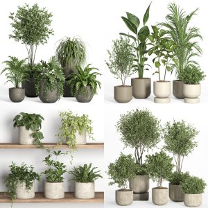 indoor pot collection 2