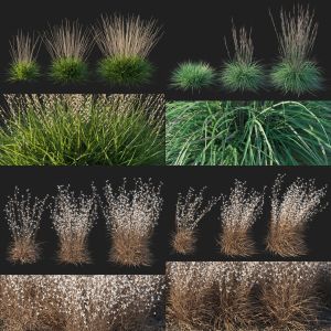 Mountain Grass collection