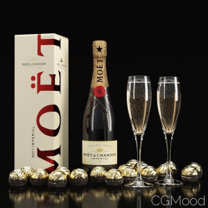 Decorative Champagne MÖét 3