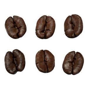 High-quality Coffee Beans