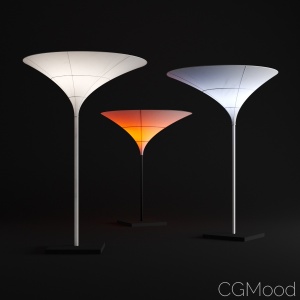 Tulip Lights By CSMA