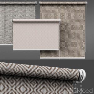 Roller Blind Set 02