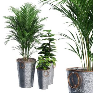 Lillian Galvanized Planters