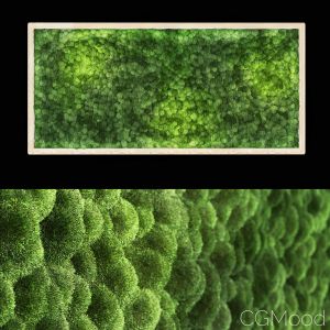 Moss Wall Frame