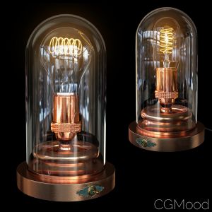 Steampunk Glass Case - Edison Lamp