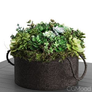 Rh - Faux Assorted Succulent Plant