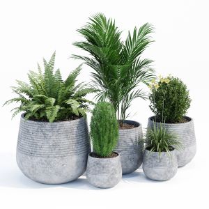 Fiber Clay Planter Set