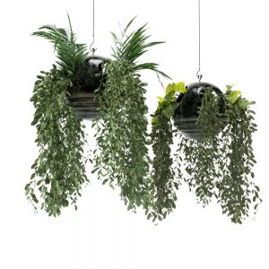 Hangin Plants