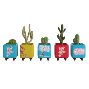 Flower Set_05 Cactus In Colorful Decorative Pots01