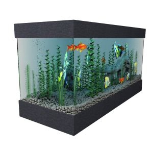 Aquarium