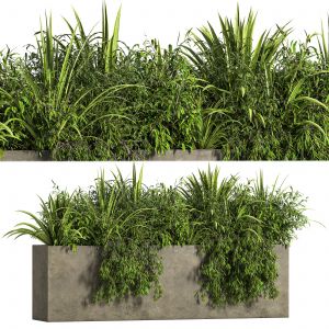 Outdoor_plants_tree_in_concrete_box_05