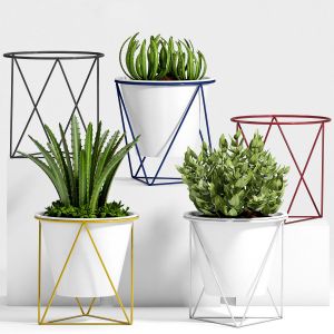 Decorative Plant Set-10