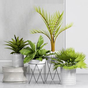 Decorative Plant Set - 11