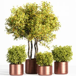 Plant indoor stand 4 metal