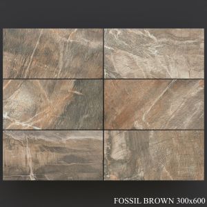 Abk Fossil Brown 300x600