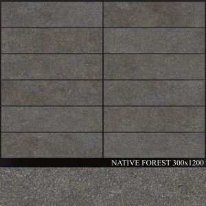 Abk Native Forest 300x1200