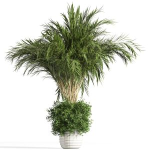 Plant_indoor_binlamin_in_concrete