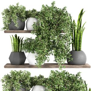 2 fabulous plant shelves