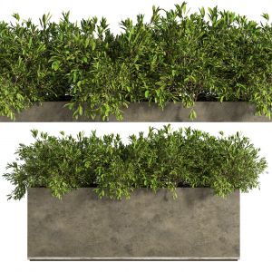 Outdoor_plants_tree_in_concrete_box_06