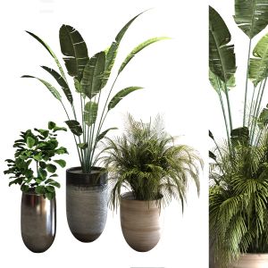 Plant Set 045