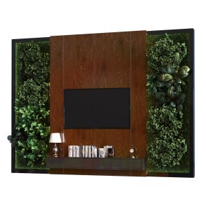 Tv Wall Set 020