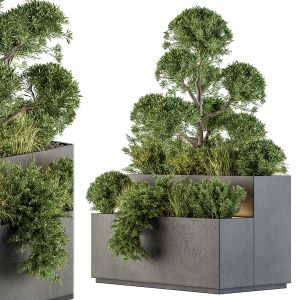 Outdoor Plant Set 214 - Plant Box