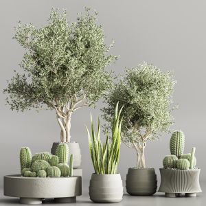 Indoor Plant Stand 52