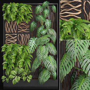 Vertical Garden, Phytowall, Pgreen wall monstera