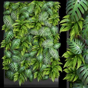 Vertical Garden, Phytowall, monstera, fern, eco