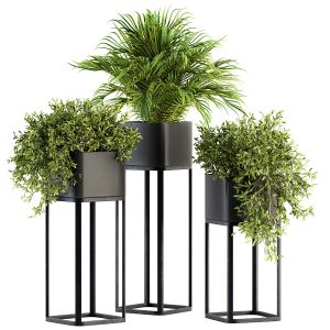 Indoor Plant Set 211 - Plant Box Stand