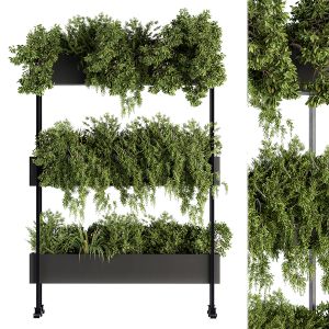 Indoor Plant Set 215 -plant Box Stand