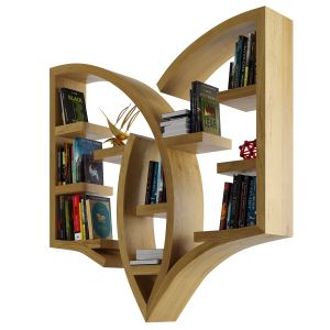 Amazing Bookshelf